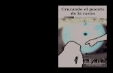 Cruzando El Puente de La Razónn - Acedo Emmerich, Gabriela(Author