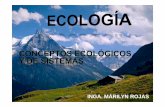 Clase 2 y 3 Conceptos Ecologicos y de Sistemas