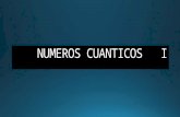 Numeros Cuanticos 1