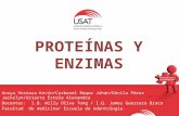 prot y enzimas.pptx