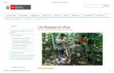 Los Bosques en cifras.pdf