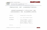 Informe de Laboratorio AlbaÑILERIA