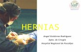 6. Hernia Inguinal[1]