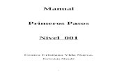 Manual Del Nivel 001 Ccvn
