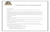 perfiles nucleares.pdf