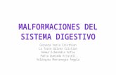 Malformaciones del sistema digestivo