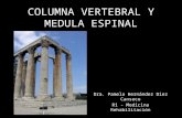Columna Vertebral y Medula Espinal