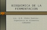 Bioquimica de La Fermentacion Del Vino