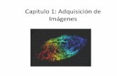 The Image Processing Handbook Capitulos 1-10
