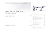 092011 Systep Reporte Sector Electrico