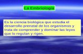 Histologia y Embriologia