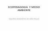 DIMENSION AMBIENTAL EDO-BRASIL.pdf