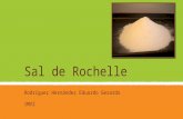 Sal de Rochelle by Eduardo Rodríguez