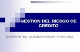 GESTION DEL RIESGO DE CREDITO.pdf