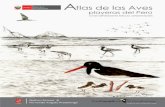 Altas de Las Aves Playeras Del Perú