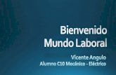 Bienvenidos Mundo Laboral - PROFESIONAL MECÁNICO ELÉCTRICO