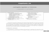 laringitis cronica.pdf