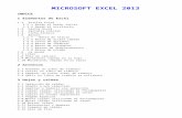 Manual Microsoft Excel 2013