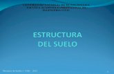 MECANICA DE SUELOS I 3 Estructura del suelo.ppt