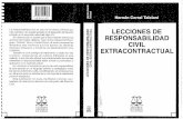 Corral Hernán - Lecciones de Responsabilidad Extracontractual
