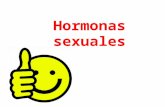 Hormonas Sexuales