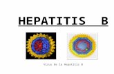 Hepatitis Bk