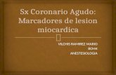 Sx Coronario Agudo Marcadores de Lesion Miocardica