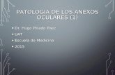 Patologia de Los Anexos Oculares (1)