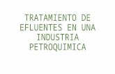 Tratamiento de Efluentes Industria Petroquímica