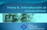 T 08 Introducción al metabolismo 2.pdf