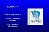 FileMaker Pro