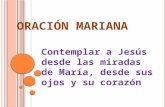 Oración Mariana Oct 2012