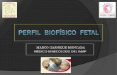 11 Perfil Biofisico Fetal