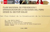 Plan Nacional de Prevencion Lima