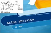 acido absisico