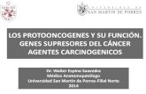 Agentes Carcinogenicos y Protooncogenes 2014
