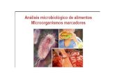 Analisis Microbiologico de Alimentos TN1