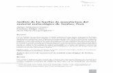 "Análisis de las Huellas de Manufactura del Material Malacológico de Tumbes, Perú"  - Adrián Velázquez, Emiliano Melgar y Anne Marie Hocquenghem (2006)