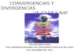 USGAAP vs NIIF Convergencias y Divergencias