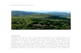 Microhistoria de La Sierra de Huautla2