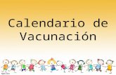 2015 vacunas esquema