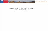 4.- Observación de Conductas