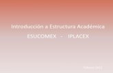 PPT EA - Estructura Académica V1