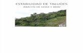 ESTABILIDAD DE TALUDES (1).pdf