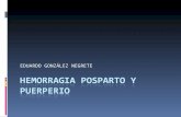 20100211 Hemorragia Posparto y Puerperio e Gonzalez