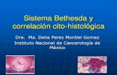 Montiel - Patologia de Cervix Uterino - Sistema Bethesda y Correlacion Cito-Histologica.pdf