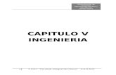 CAPITULO v Estudio de Ingenieria
