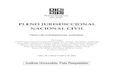 Pleno jurisdiccional nacional civil 2011 (1).pdf