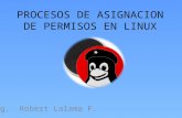 Procesos de Asignacion de Permisos en Linux