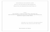 Alcances y Limitaciones Del Proceso de Descentralización Política en La CABA (1996-2010)